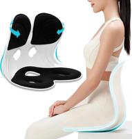 Ergonomic Chair Back Support, Lumbar Support for Good Posture Correction and Back Pain Relief, Perfect for Office Chair, Floo...