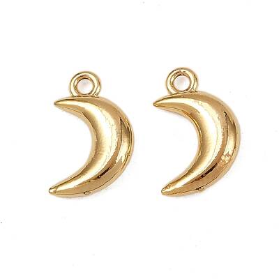 304 Stainless Steel Charms
