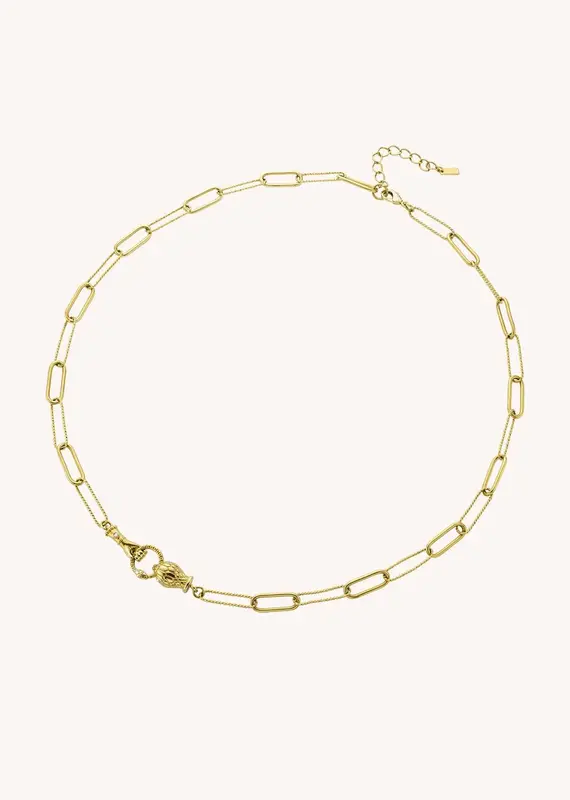 Necklace Co-212g Gold | Color: GOLD | Size: U