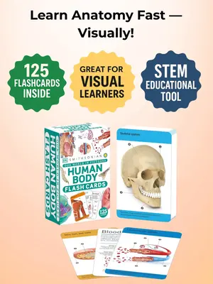 Anatomy Flash Cards – Visual Learning Set of the Human Body with Detailed Pictures and Terms