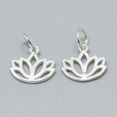 925 Sterling Silver Charms