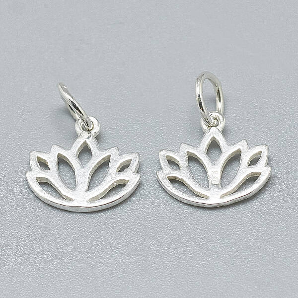 925 Sterling Silver Charms