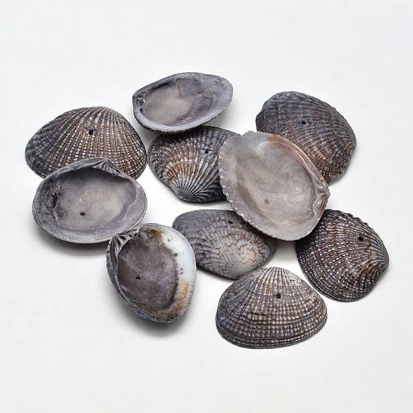 Dyed Natural Shell Beads