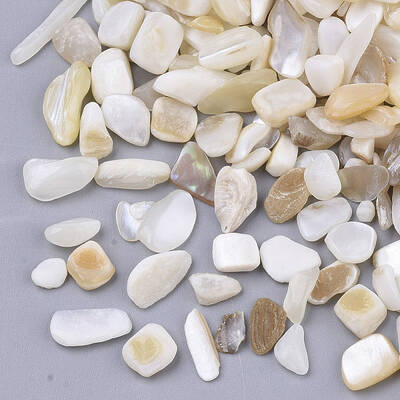 Freshwater Shell Beads