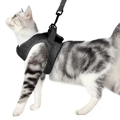 Adjustable Cat Harness with Leash, 1 Set Breathable Comfortable Pet Chest Strap & Nylon Leash, Pet Supplies for Outdoor Walki...