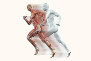 Fundamentals of Kinesiology