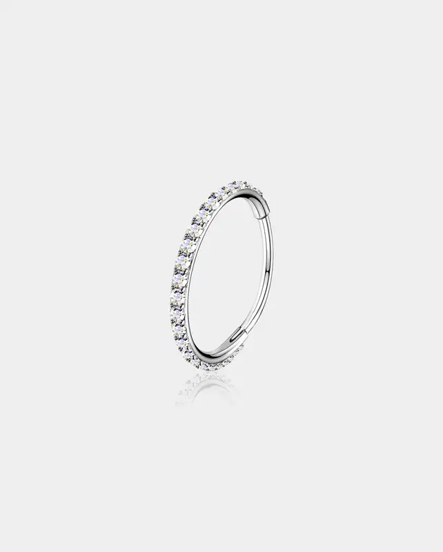 20G Purple CZ Hinged Segment Nose Ring - AB CZ / 7mm