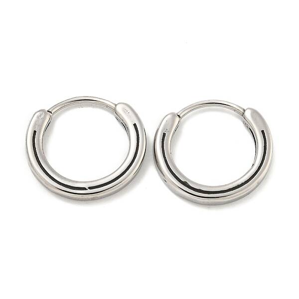 316 Surgical Stainless Steel Hoop Earrings