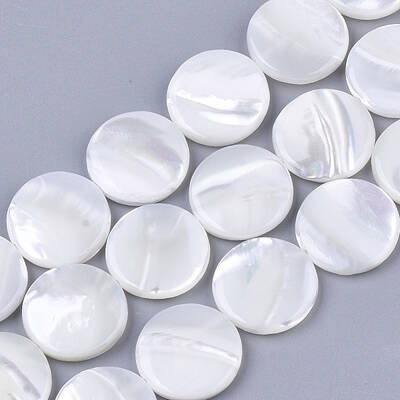 Trochus Shell Beads Strands