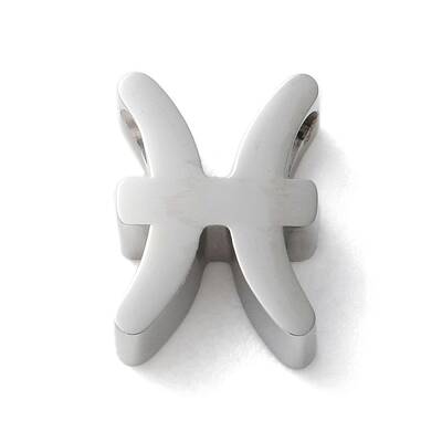 Constellation 304 Stainless Steel Charms