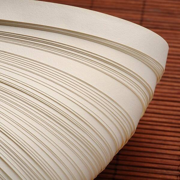 Quilling Paper Strips