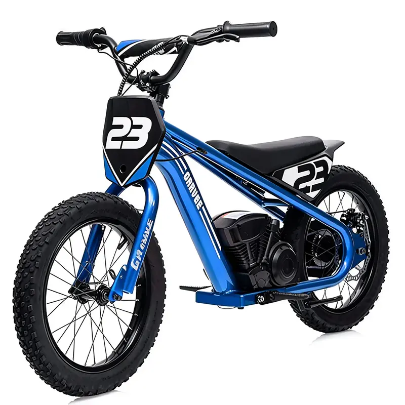 Garvee Ride - G Series: 250W Motor 3-Speed Aluminum Frame 16 Off-Road Tires Detachable Battery Outdoor Adventure