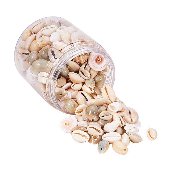 Trumpet Shell Beads