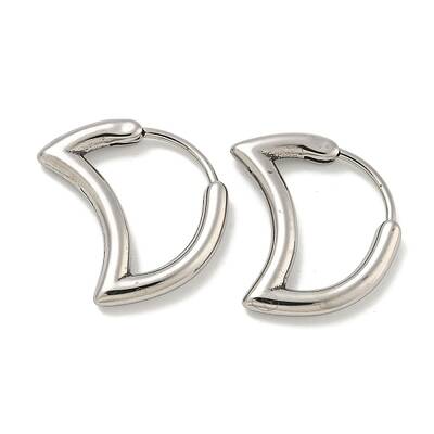 316 Surgical Stainless Steel Hoop Earrings