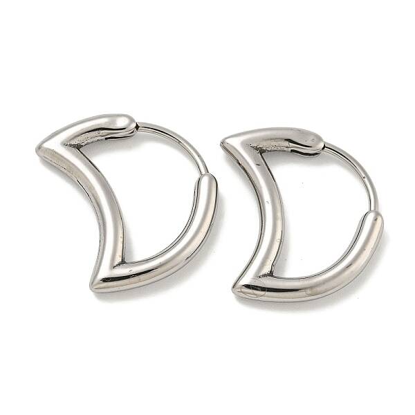 316 Surgical Stainless Steel Hoop Earrings