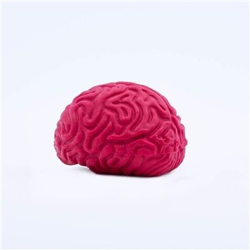 250 Custom Pencil Top Stock Eraser- Brain
