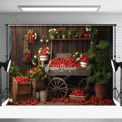 Strawberry Shop Vintage Wood Backdrop for Photography - Aperturee