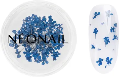 NEONAIL Dried Flowers dry flower for nails color 04 Navy