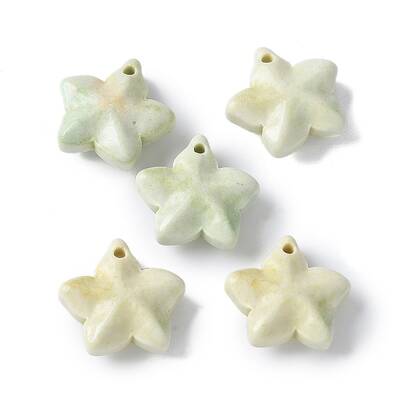 Natural Rainbow Alashan Agate Charms