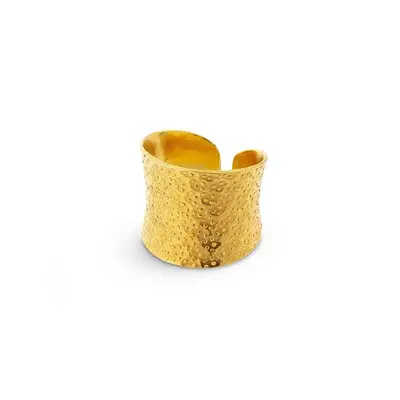 Nudo Gold Dotted Ring (adjustable)