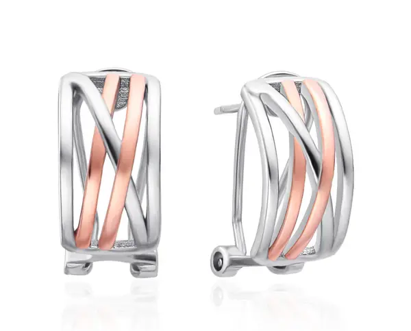 Agato Elegant Bicolor Earrings with Zirconia AGT-E123KK-2T
