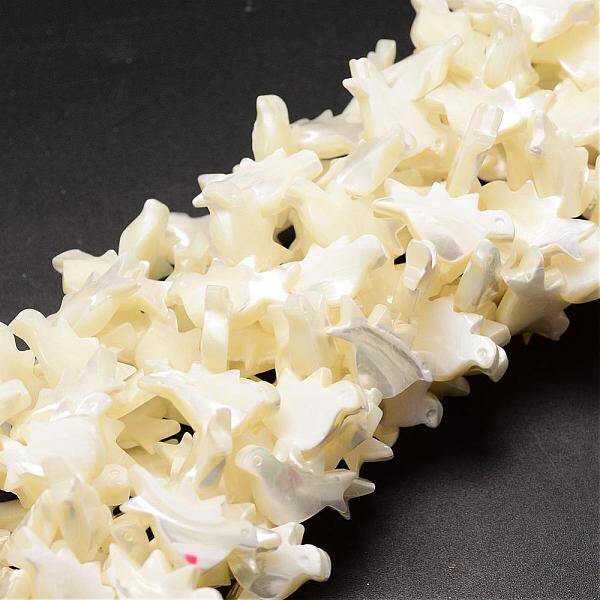 Natural Trochid Shell/Trochus Shell Beads Strands