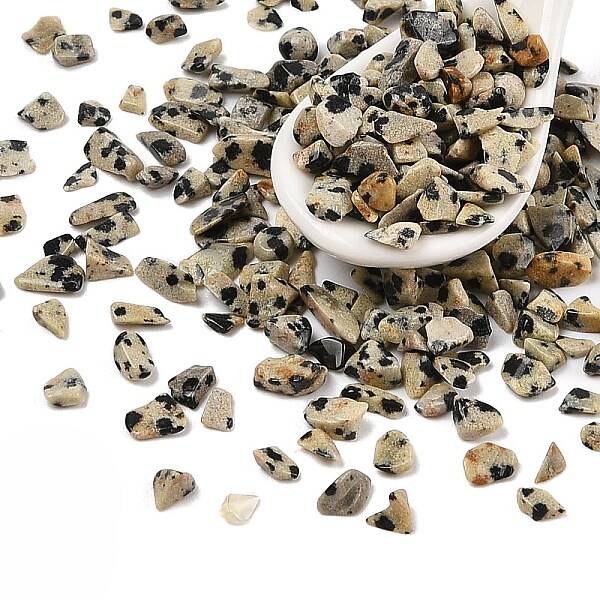Natural Dalmatian Jasper Chip Beads