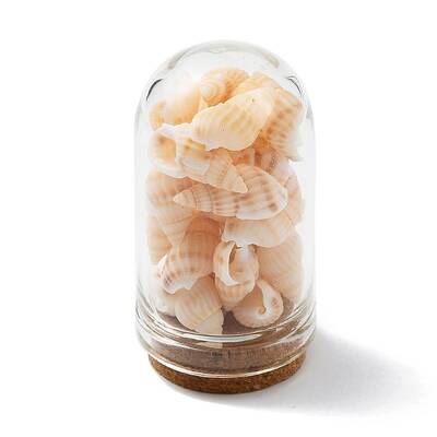Glass Dome Bottle Display Decorations