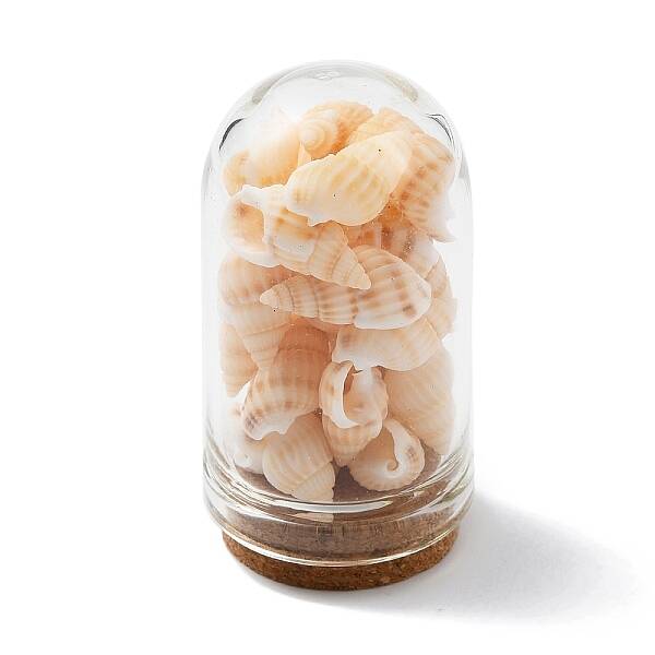 Glass Dome Bottle Display Decorations