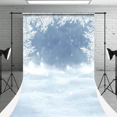 Winter Ice Flower Snowy Photoshoot Sweep Backdrop - Aperturee