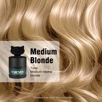 FARNDU Hairline Powder 12g | For Roots and Hair Loss | Instant Coverage Thinning Hair | Color Touch - Ups | Dual - Brush Desi...