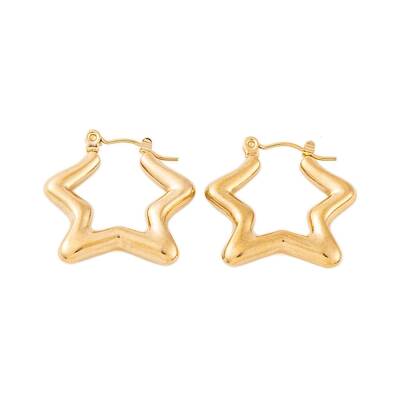 Ion Plating(IP) 304 Stainless Steel Hoop Earrings for Women
