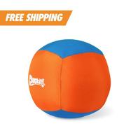 Chuckit! Big Air Fetch & Herding Ball Dog Toy