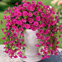 Artificial Flower, Fake Flower in Pot, Faux Flower for Outdoor Decoration, Fake Vine Flower for Wall, Home, Porch, Terrace, B...