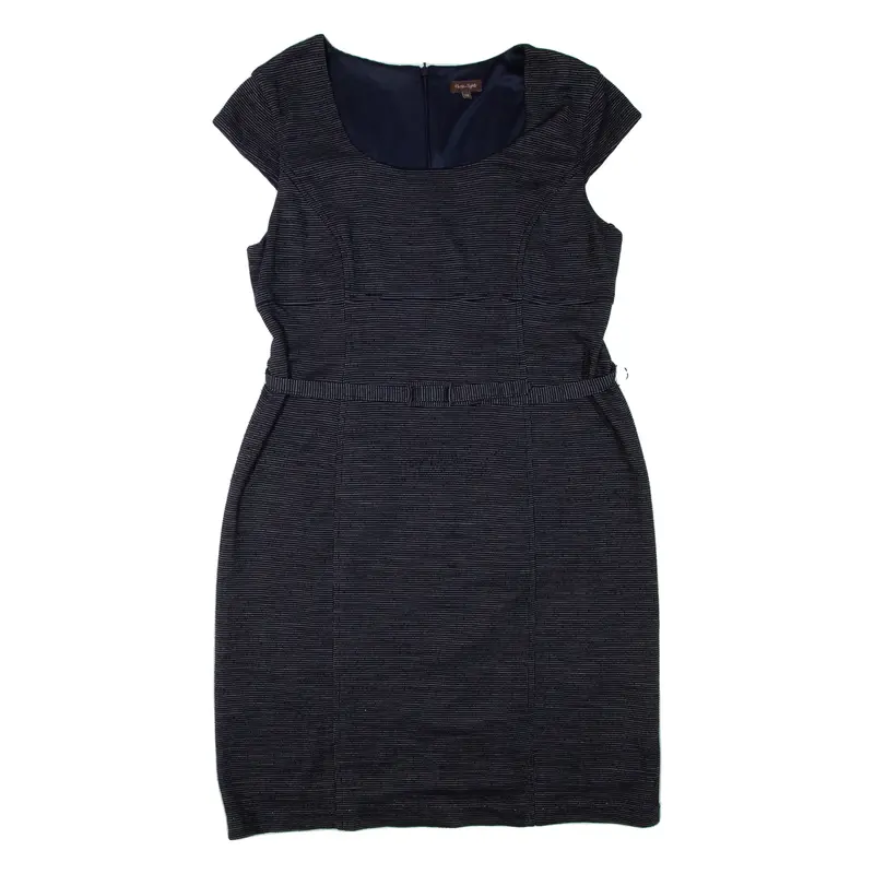 PHASE EIGHT Womens Day Dress Blue Short Sleeve Short 2XL