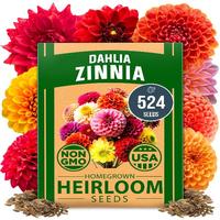 HOME GROWN Zinnia Dahlia Seeds Pack- Bulk Flower Seeds to Plant Outside for Vibrant Blooms, 524 Zinnia Seeds Perfect for Poll...