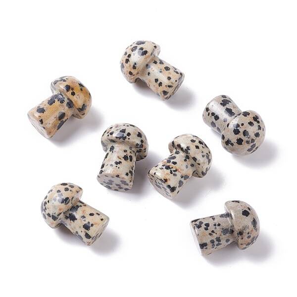 Natural Dalmatian Jasper GuaSha Stone