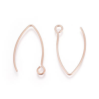 Ion Plating(IP) 304 Stainless Steel Earring Hooks