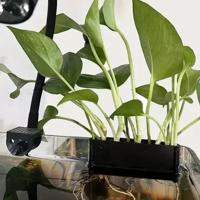 Hanging Fish Tank Plant Holder, Multi-hole Water Cultivation Plant Support, Fish Tank Plant Storage Rack, Aquarium Supplies