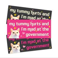 My Tummy Hurts and I'm Mad at The Government Car Sticker, 1 Count Waterproof Vinyl Bumper Sticker, Funny Car Decals for Car, ...