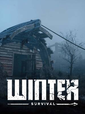 Winter Survival | Steam