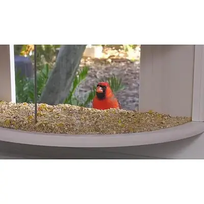 Improvements 180 Degree View Window Bird Feeder