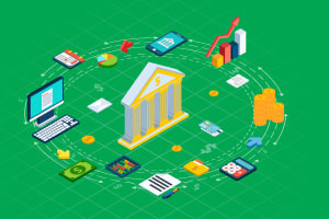 Basics of Indian Banking and Fraud Risk Management