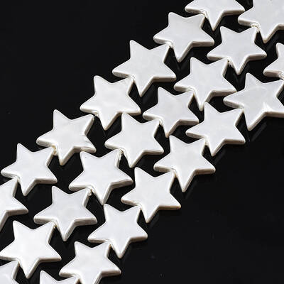 Natural Freshwater Shell Beads Strands