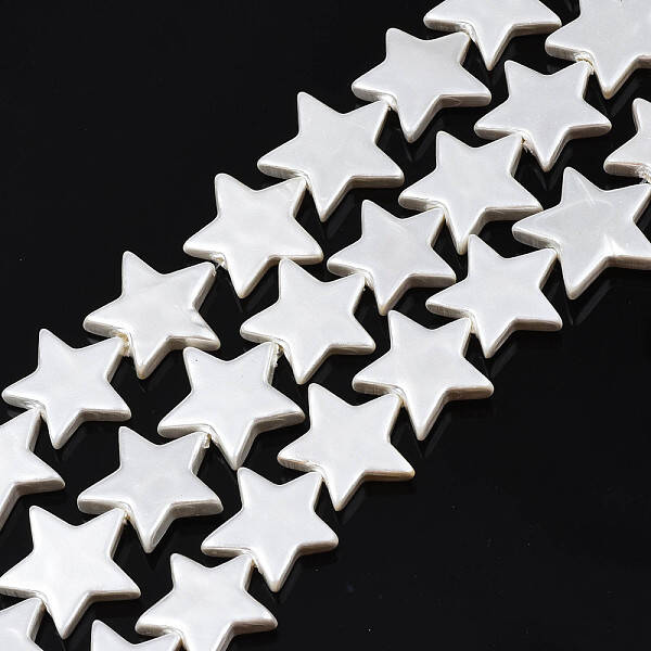 Natural Freshwater Shell Beads Strands