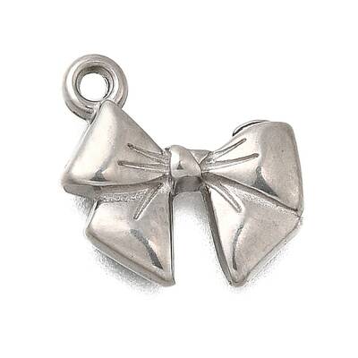 304 Stainless Steel Charms