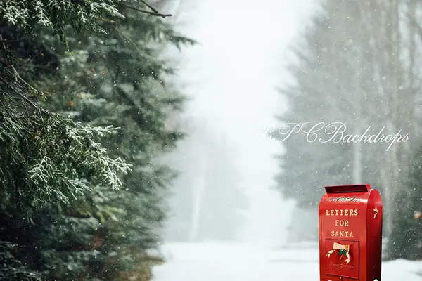 Aperturee Winter Snowy forest Santa Mailbox Photography backdrop