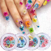Mixed Color Flower Petal Nail Art Decoration, 4 Bottles/set Natural Dried Flower Nail Decoration, DIY Nail Art Decoration for...