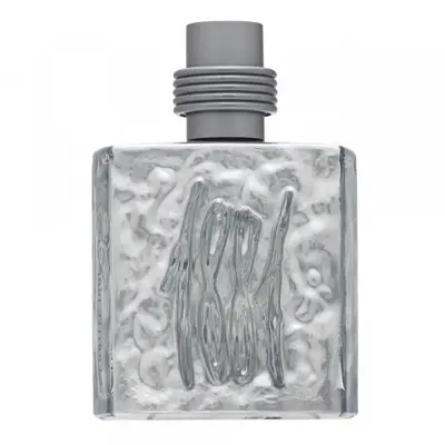Cerruti 1881 Silver Eau De Toilette Men 100 ml