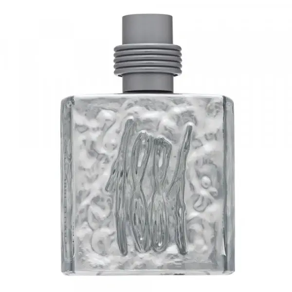 Cerruti 1881 Silver Eau De Toilette Men 100 ml